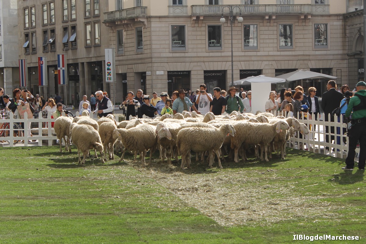 #Campaign For Wool a Milano. The Woolmark Company