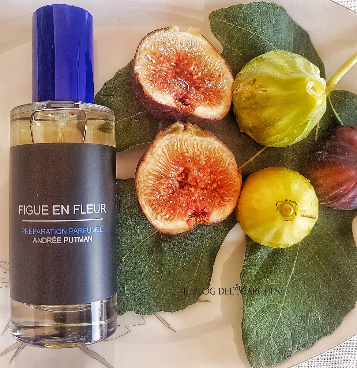 “Figue en fleur” by Andreè Putman: fig perfume