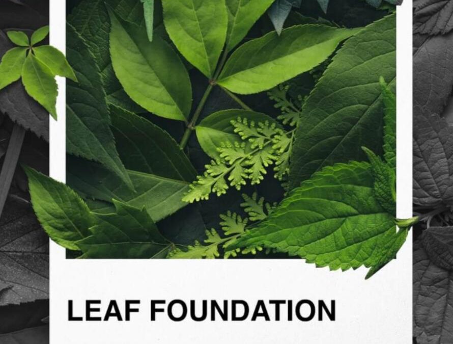 Fondazione Leaf: lusso e sostenibilità